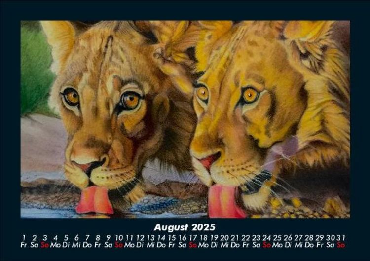 Produktbild: L&ouml;wen in der Wildnis 2025 Fotokalender DIN A5