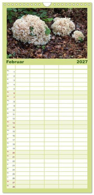 Produktbild: Familienplaner 2027 - Pilze - tolle Funde mit 5 Spalten (Wandkalender, 21 x 45 cm) CALVENDO