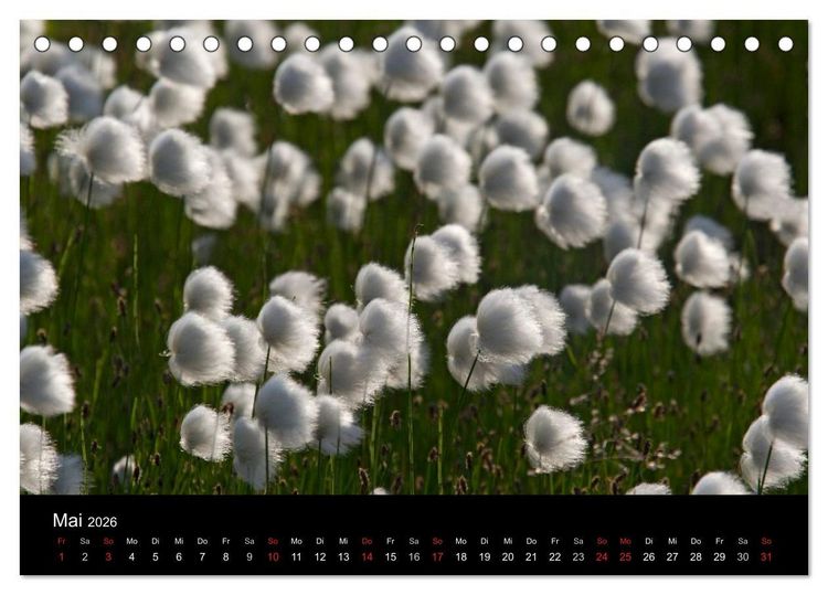 Produktbild: Sibirien- Impressionen von der Lena (Tischkalender 2026 DIN A5 quer), CALVENDO Monatskalender