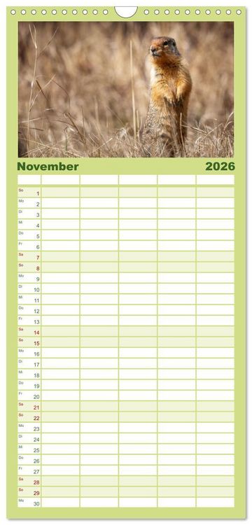 Produktbild: Familienplaner 2026 - Wildtierkalender mit 5 Spalten (Wandkalender, 21 x 45 cm) CALVENDO