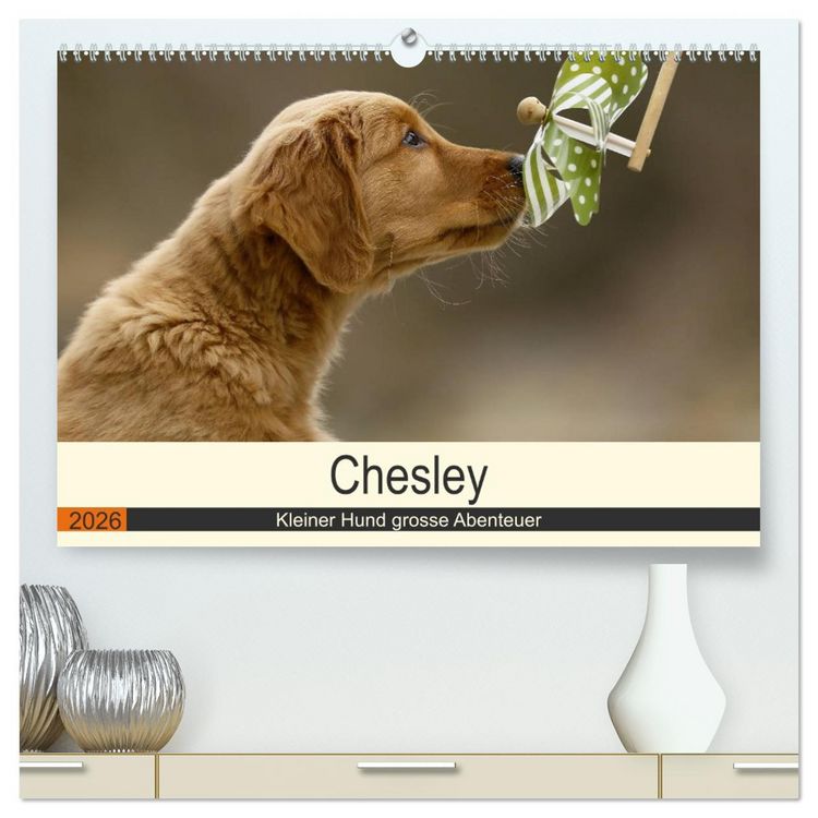 Produktbild: Chesley Kleiner Hund grosse Abenteuer (hochwertiger Premium Wandkalender 2026 DIN A2 quer), Kunstdruck in Hochglanz