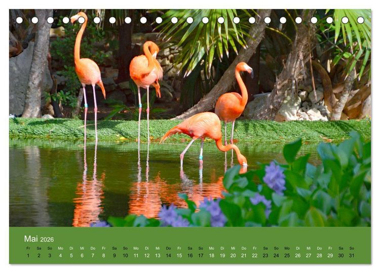 Produktbild: Mexiko - ein traumhaftes Paradies (Tischkalender 2026 DIN A5 quer), CALVENDO Monatskalender