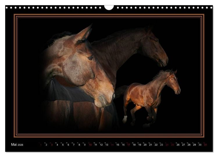 Produktbild: Traumpferde-ART-Collection (Wandkalender 2026 DIN A3 quer), CALVENDO Monatskalender