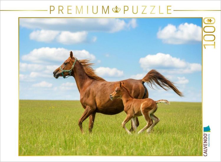 Produktbild: CALVENDO Puzzle Arabische Stute und Fohlen auf der Wiese | 1000 Teile Lege-Gr&ouml;&szlig;e 64x48cm Foto-Puzzle f&uuml;r gl&uuml;ckliche Stunden