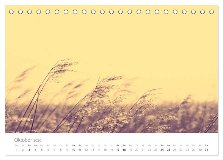 Produktbild: Farbrausch - die Welt in Pastell (Tischkalender 2026 DIN A5 quer), CALVENDO Monatskalender
