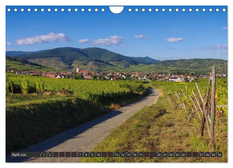 Produktbild: Elsass - Zwischen Rhein und Vogesen (Wandkalender 2026 DIN A4 quer), CALVENDO Monatskalender