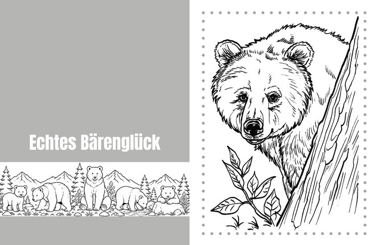 Produktbild: B&auml;rentr&auml;ume - Entspannung - Natur - Achtsamkeit