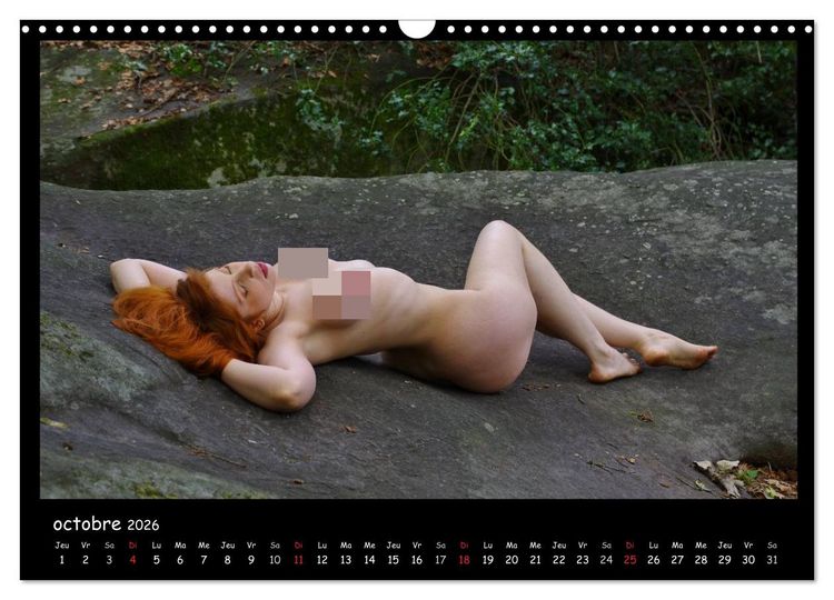 Produktbild: On the Rock (Calendrier mural 2026 DIN A3 vertical), CALVENDO calendrier mensuel