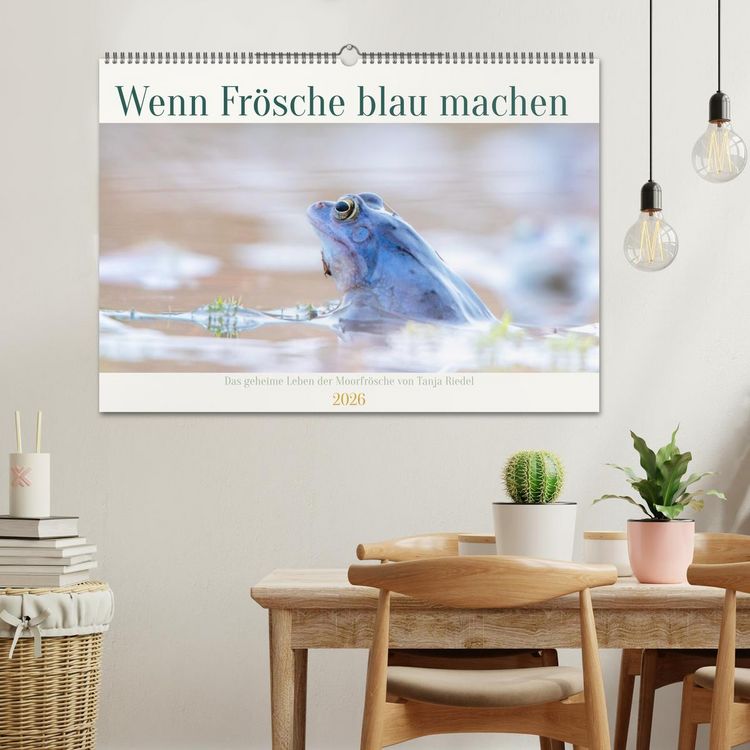 Produktbild: Wenn Fr&ouml;sche blau machen - das geheime Leben der Moorfr&ouml;sche von Tanja Riedel (Wandkalender 2026 DIN A2 quer), CALVENDO Monatskalender