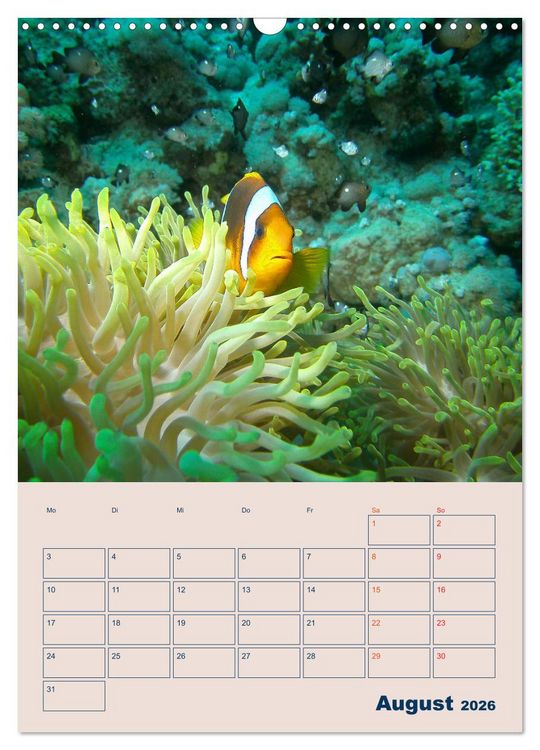 Produktbild: Mahe - Inselparadies der Seychellen (Wandkalender 2026 DIN A3 hoch), CALVENDO Monatskalender