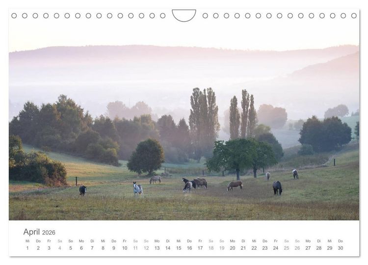 Produktbild: M&auml;rchenpferde (Wandkalender 2026 DIN A4 quer), CALVENDO Monatskalender