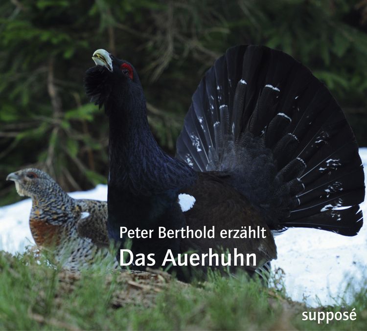 Produktbild: Das Auerhuhn