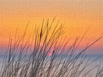 Produktbild: CALVENDO Puzzle D&uuml;nengras im Sonnenuntergang | 1000 Teile Lege-Gr&ouml;&szlig;e 64x48cm Foto-Puzzle f&uuml;r gl&uuml;ckliche Stunden