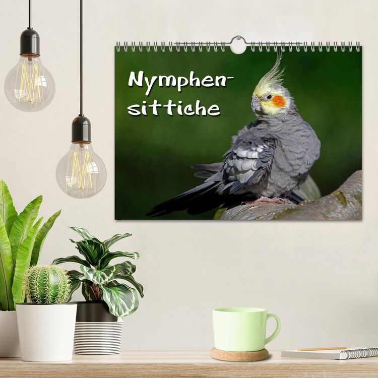 Produktbild: Nymphensittiche (Wandkalender 2026 DIN A4 quer), CALVENDO Monatskalender