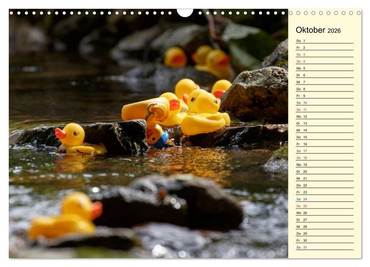 Produktbild: Enten-Rennen (Wandkalender 2026 DIN A3 quer), CALVENDO Monatskalender