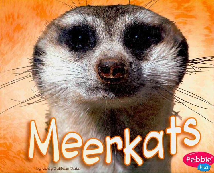 Produktbild: Meerkats
