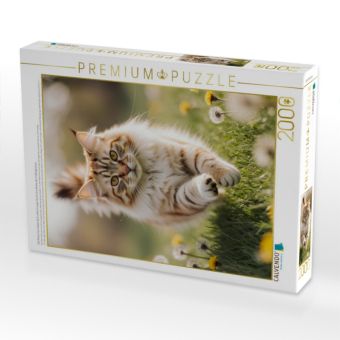 Produktbild: CALVENDO Puzzle Die Maine Coon Katze l&auml;uft voller Energie durch eine bl&uuml;hende Fr&uuml;hlingswiese. | 2000 Teile Lege-Gr&ouml;&szlig;e 90x67cm Foto-Puzzle f&uuml;r gl&uuml;cklic