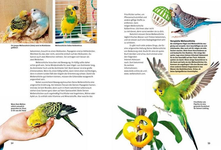 Produktbild: Entdecke die Papageien