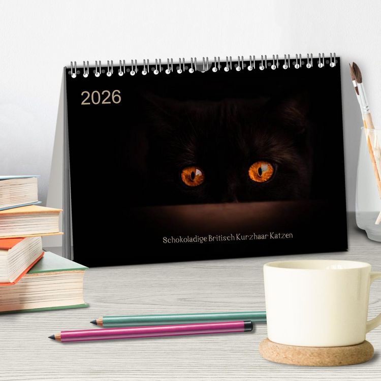 Produktbild: Schokoladige Britisch Kurzhaar Katzen (Tischkalender 2026 DIN A5 quer), CALVENDO Monatskalender