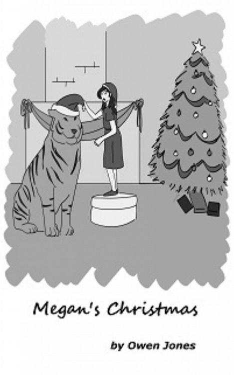 Produktbild: Megan's Christmas