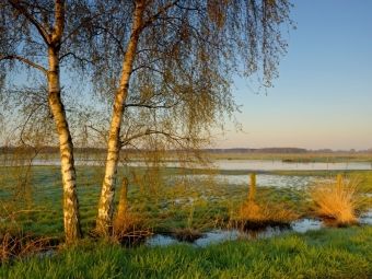 Produktbild: CALVENDO Puzzle Feuchtwiese bei Sonnenaufgang | 1000 Teile Lege-Gr&ouml;&szlig;e 64x48cm Foto-Puzzle f&uuml;r gl&uuml;ckliche Stunden