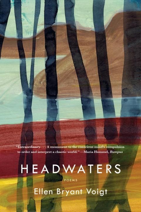 Produktbild: Voigt, E: Headwaters