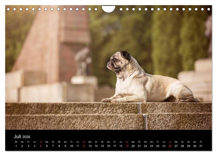 Produktbild: Berliner M&ouml;pse (Wandkalender 2026 DIN A4 quer), CALVENDO Monatskalender