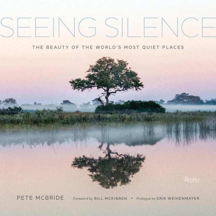 Produktbild: Seeing Silence