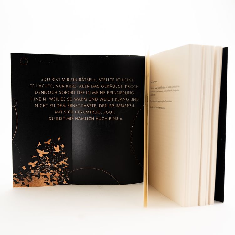 Produktbild: Starling Nights 1