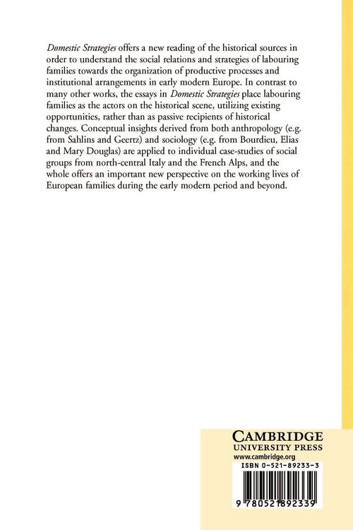 Produktbild: Domestic Strategies