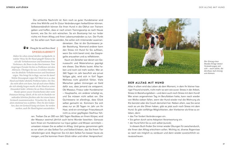 Produktbild: Entspannter Mensch - entspannter Hund...