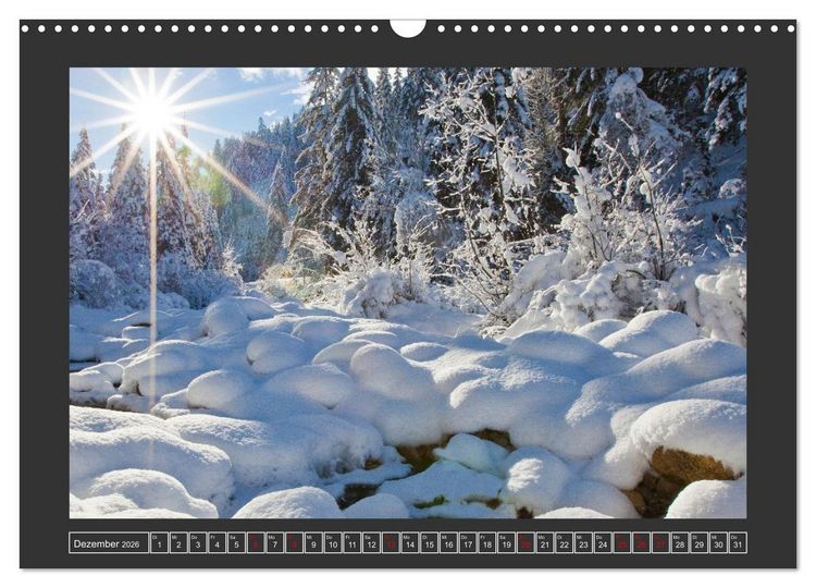 Produktbild: Gr&uuml;&szlig;e aus Wald (Wandkalender 2026 DIN A3 quer), CALVENDO Monatskalender