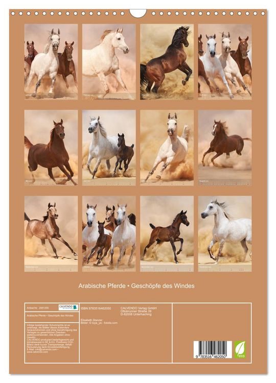 Produktbild: Arabische Pferde &bull; Gesch&ouml;pfe des Windes (Wandkalender 2026 DIN A3 hoch), CALVENDO Monatskalender