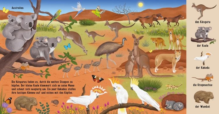 Produktbild: Mein erstes Natur-Wimmelbuch: Tiere aus aller Welt
