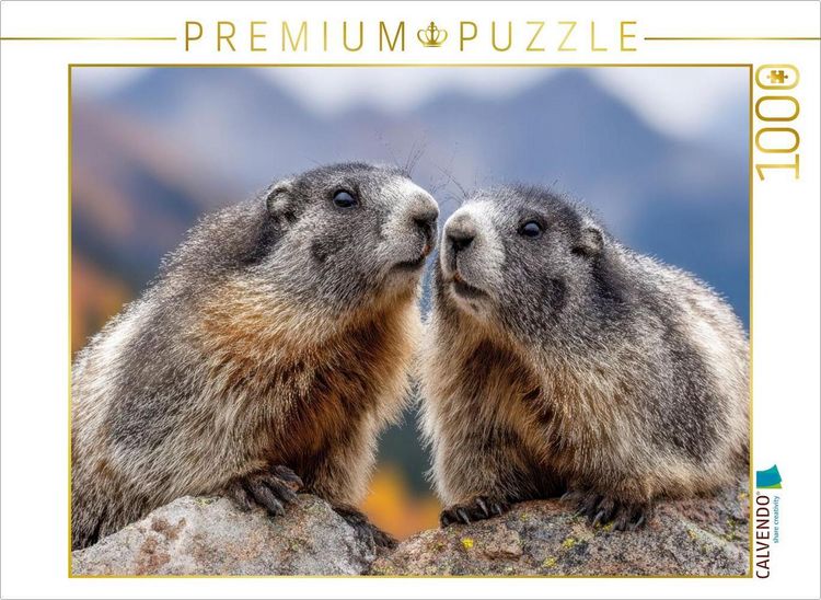 Produktbild: CALVENDO Puzzle Wir geh&ouml;ren zusammen | 1000 Teile Lege-Gr&ouml;&szlig;e 64x48cm Foto-Puzzle f&uuml;r gl&uuml;ckliche Stunden
