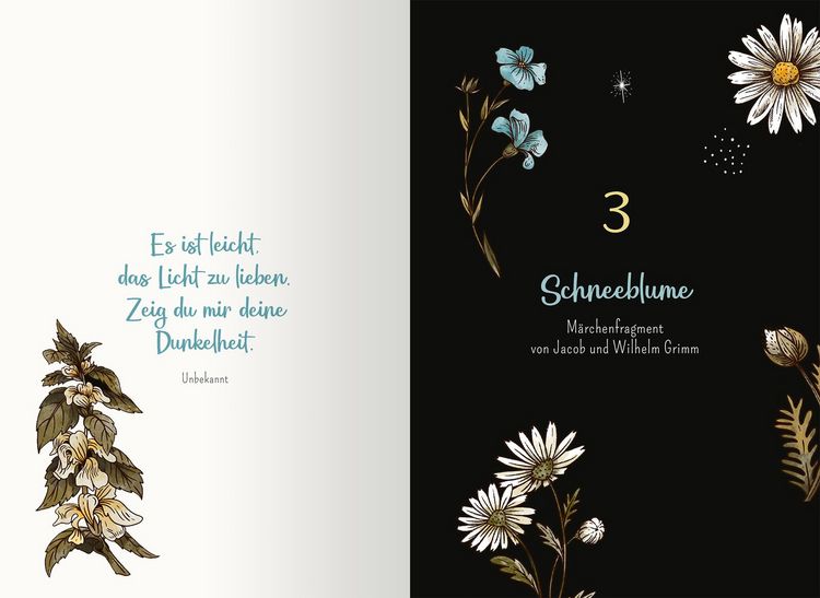 Produktbild: Von Hexen und Raun&auml;chten. 24 magische Geschichten