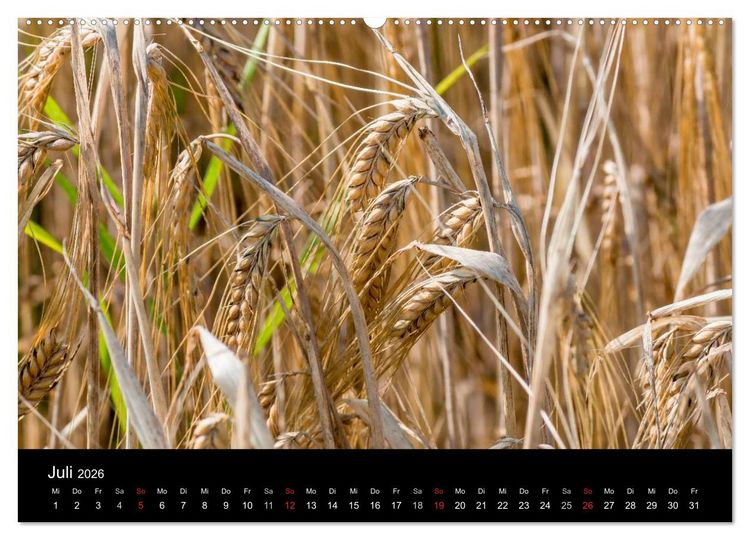 Produktbild: Meine Heimat Westerwald (hochwertiger Premium Wandkalender 2026 DIN A2 quer), Kunstdruck in Hochglanz