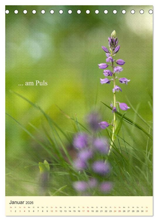 Produktbild: flowers (Tischkalender 2026 DIN A5 hoch), CALVENDO Monatskalender