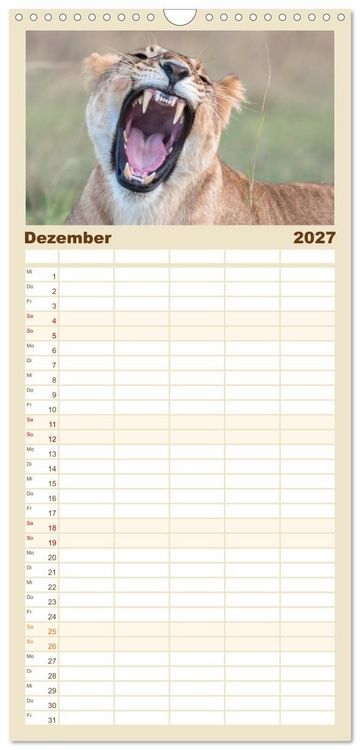 Produktbild: Familienplaner 2027 - L&ouml;wen - Raubkatzen Afrikas mit 5 Spalten (Wandkalender, 21 x 45 cm) CALVENDO