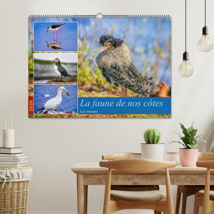 Produktbild: La faune de nos c&ocirc;tes les oiseaux (Calendrier mural 2026 DIN A2 vertical), CALVENDO calendrier mensuel
