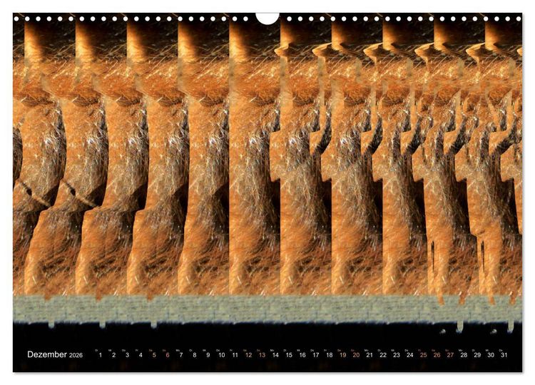 Produktbild: Magische Bilder - 3D Stereogramme (Wandkalender 2026 DIN A3 quer), CALVENDO Monatskalender