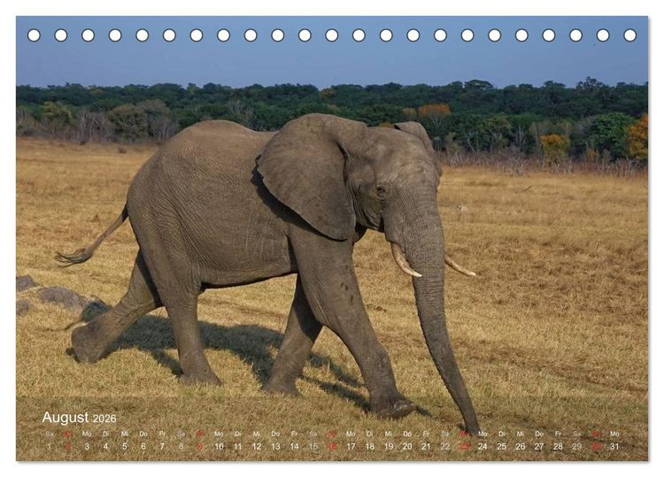 Produktbild: Zimbabwe (Tischkalender 2026 DIN A5 quer), CALVENDO Monatskalender