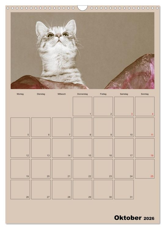 Produktbild: Mit Katzen durchs Jahr / Planer (Wandkalender 2026 DIN A3 hoch), CALVENDO Monatskalender