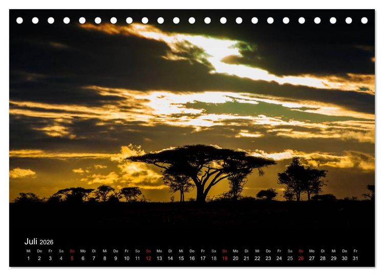Produktbild: Wildes Afrika (Tischkalender 2026 DIN A5 quer), CALVENDO Monatskalender