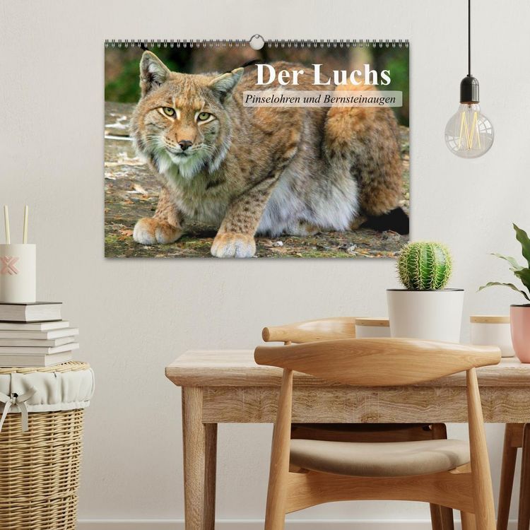 Produktbild: Der Luchs. Pinselohren und Bernsteinaugen (Wandkalender 2026 DIN A3 quer), CALVENDO Monatskalender