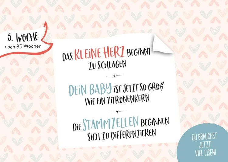 Produktbild: Ein kleines Wunder w&auml;chst heran.