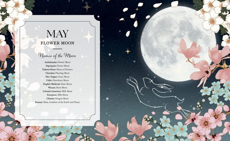 Produktbild: The Full Moon Yearbook