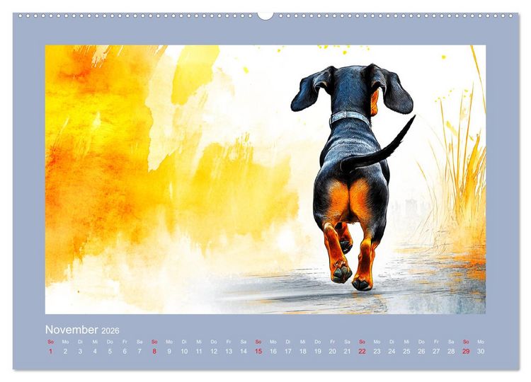 Produktbild: Dackelzauber. Charmante Begleiter im lieblichen Aquarell-Stil (Wandkalender 2026 DIN A2 quer), CALVENDO Monatskalender