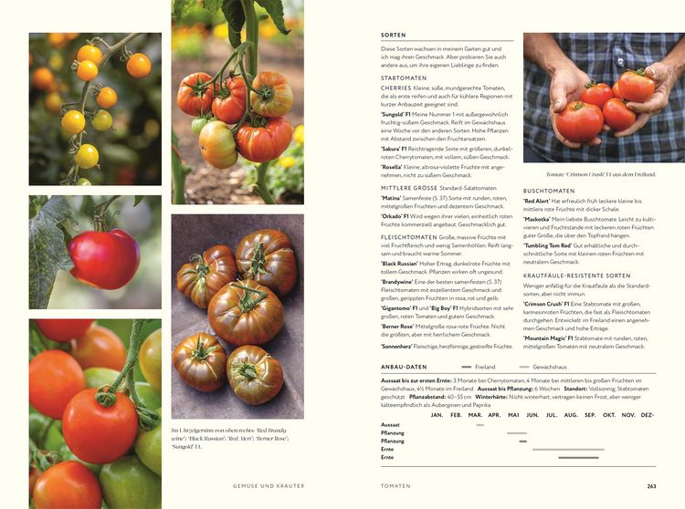 Produktbild: No Dig - G&auml;rtnern ohne Umgraben