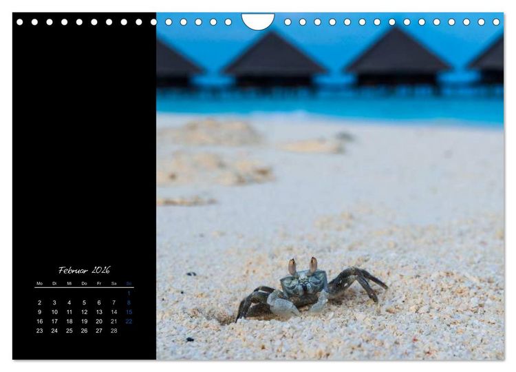 Produktbild: Malediven - dem Himmel so nah (Wandkalender 2026 DIN A4 quer), CALVENDO Monatskalender